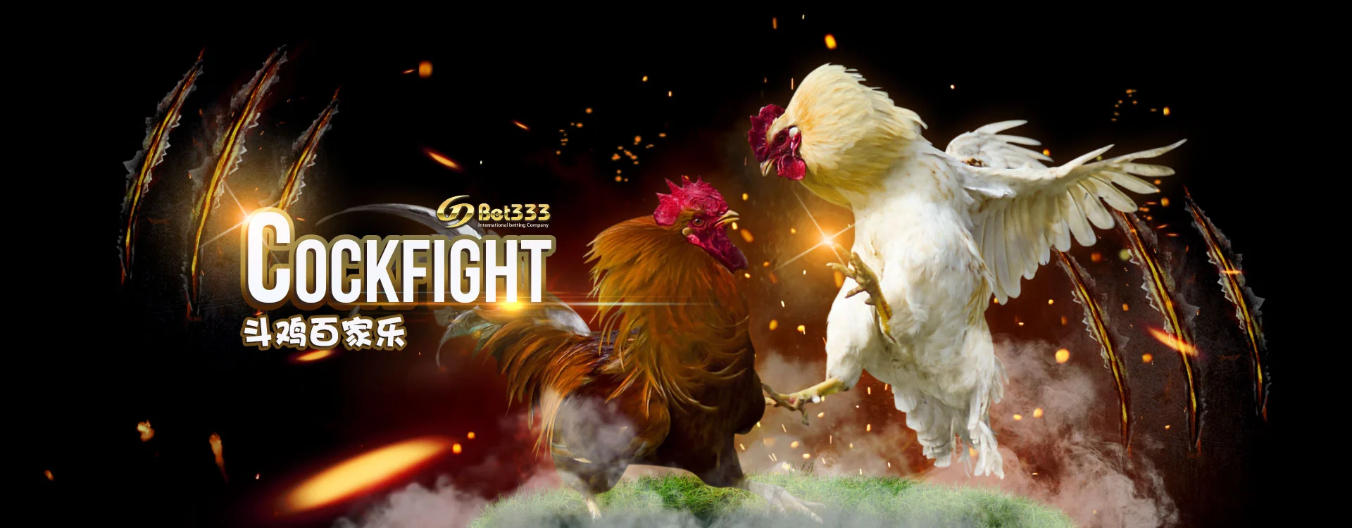 cockfight