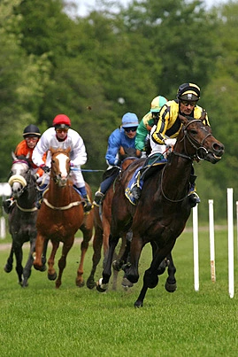 Horse racing