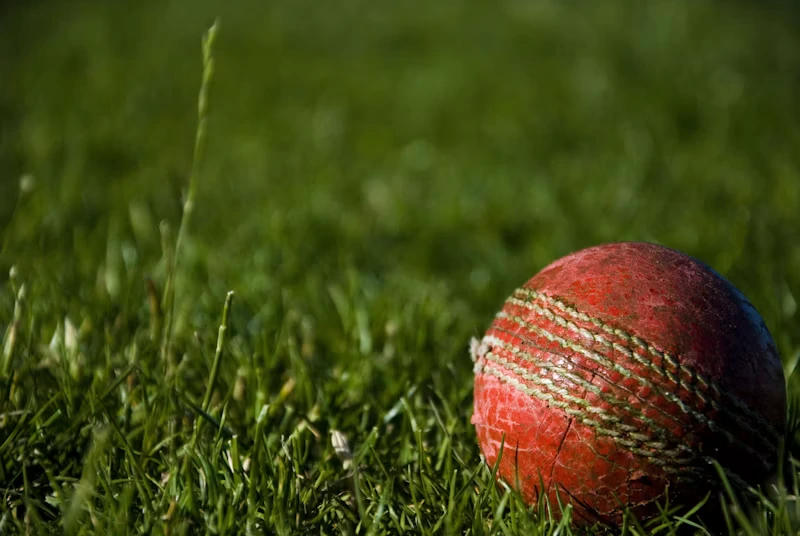 Cricket player